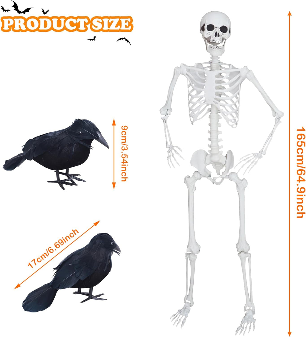 5.4ft/165cm Halloween Skeleton with Realistic Crows Full Body Plastic Human Bones with Movable Joints for Indoor Outdoor Halloween Decor