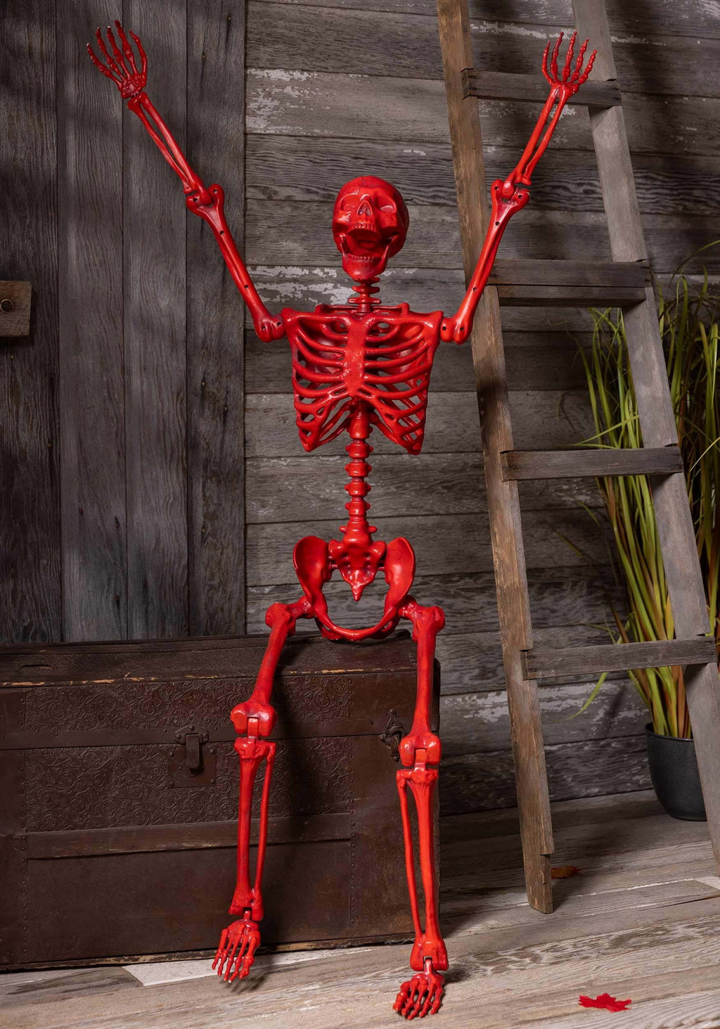 Poseable Crazy Bones Skeleton in Red Decoration