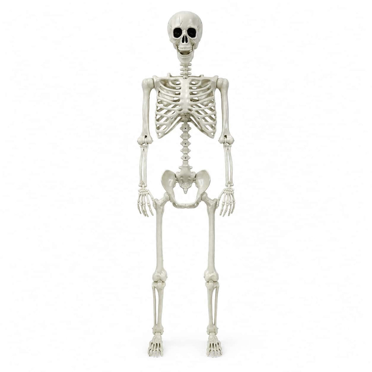 Valora Bella 5.4 FT Skeleton Halloween Decoration Outdoor Indoor - Life Size Poseable Full Body Skeleton Prop with Movable Joints Realistic Skull - Halloween Decor for Haunted House Porch Party Yard