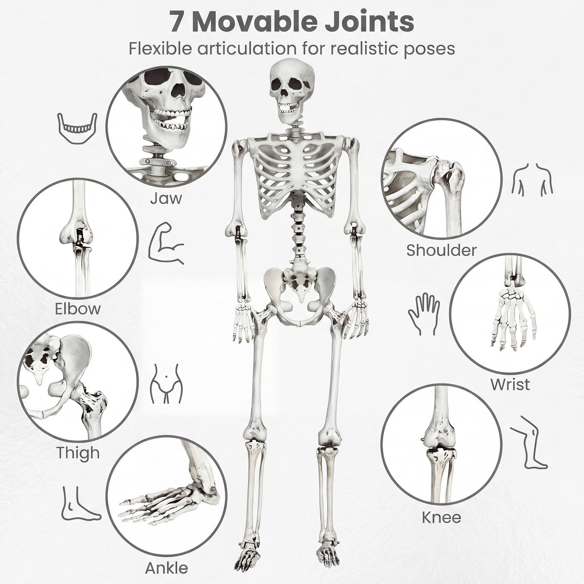 5.4ft Halloween Christmas Skeleton Life Size Realistic Full Body Hanging with Movable Joints 63 Inches