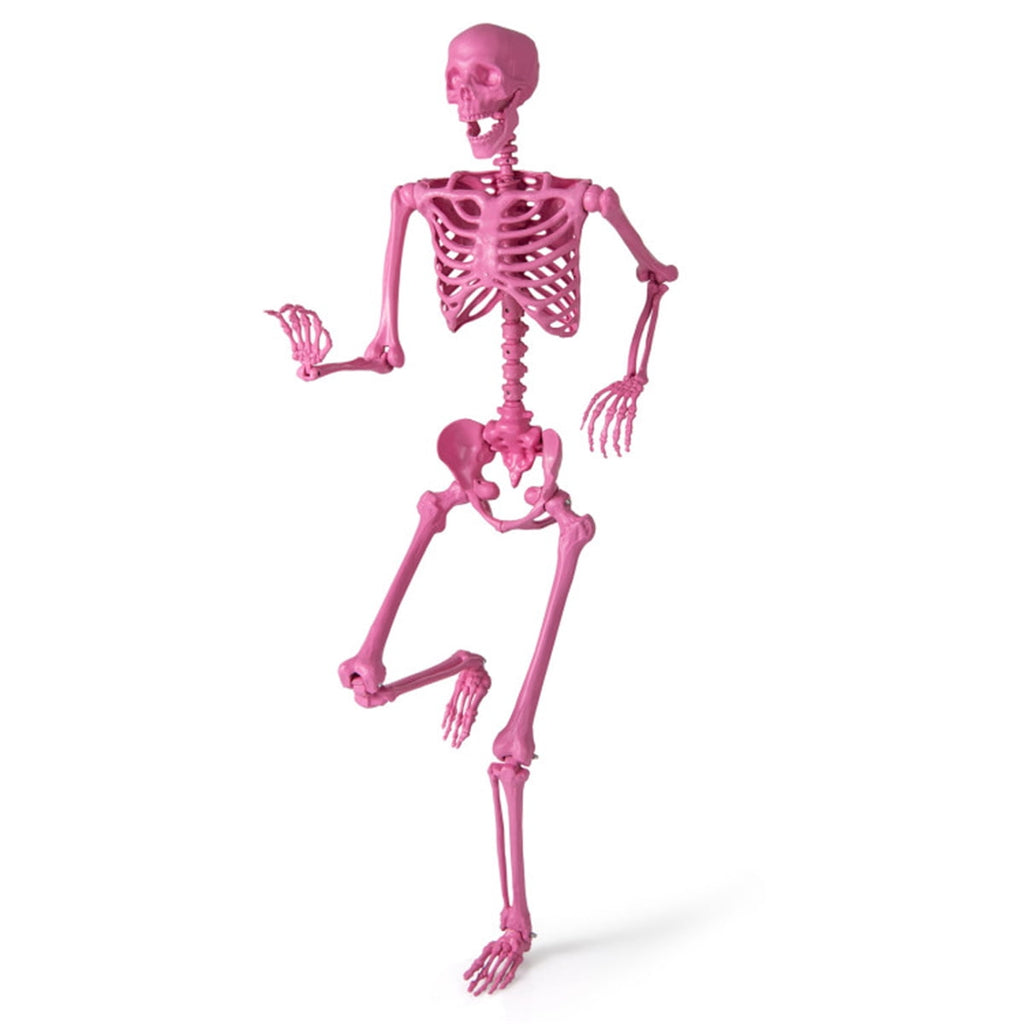 5.5 FT Pink Halloween Skeleton Outdoor Decor, No Assembly Needed