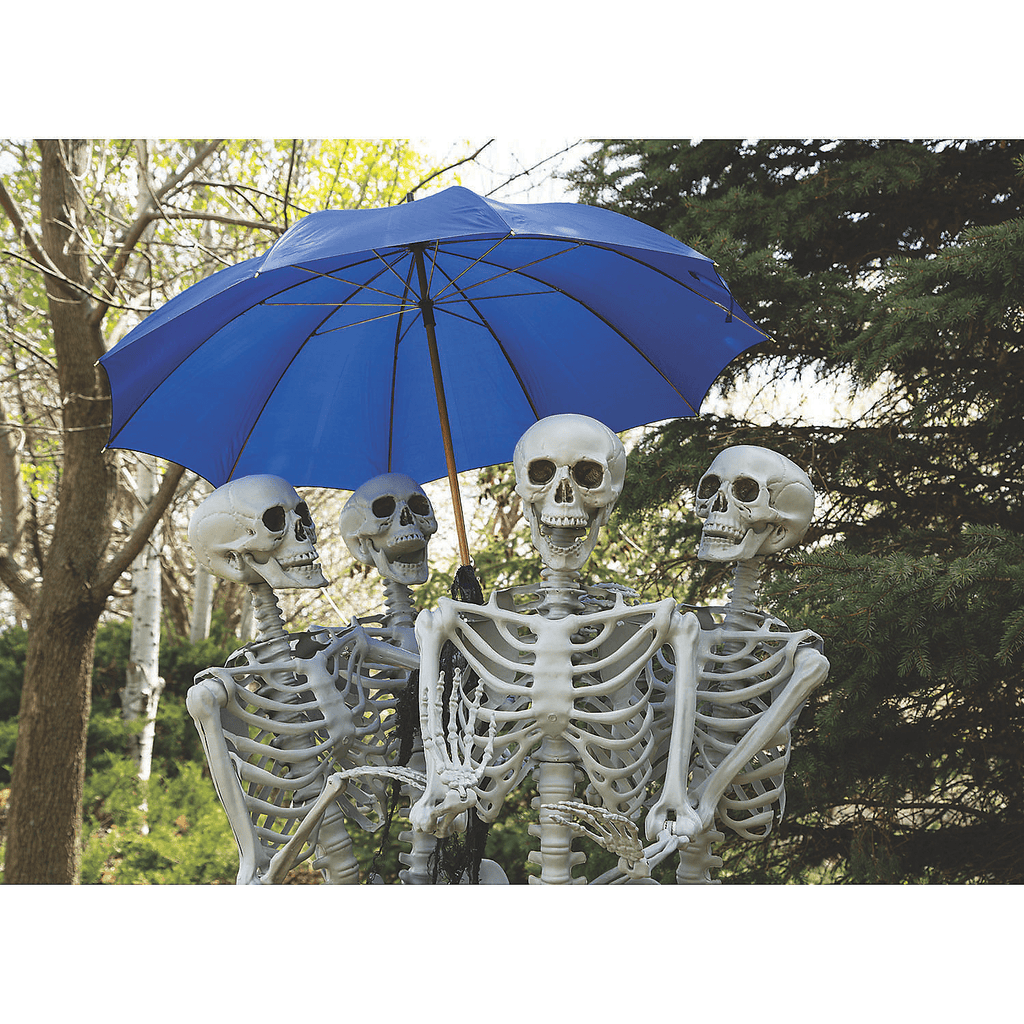 Life Size Posable Skeleton Halloween Decorations, Home Decor, Halloween, 4 Pieces