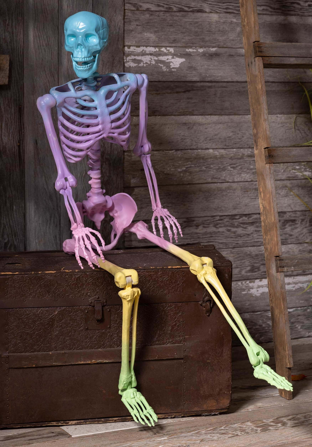 Crazy Bones Poseable Skeleton in Rainbow
