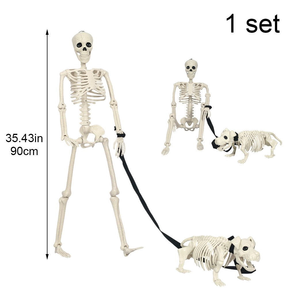 Slccxzc Halloween Skeleton Decoration Full Body Movable Joints with Dog Skeleton