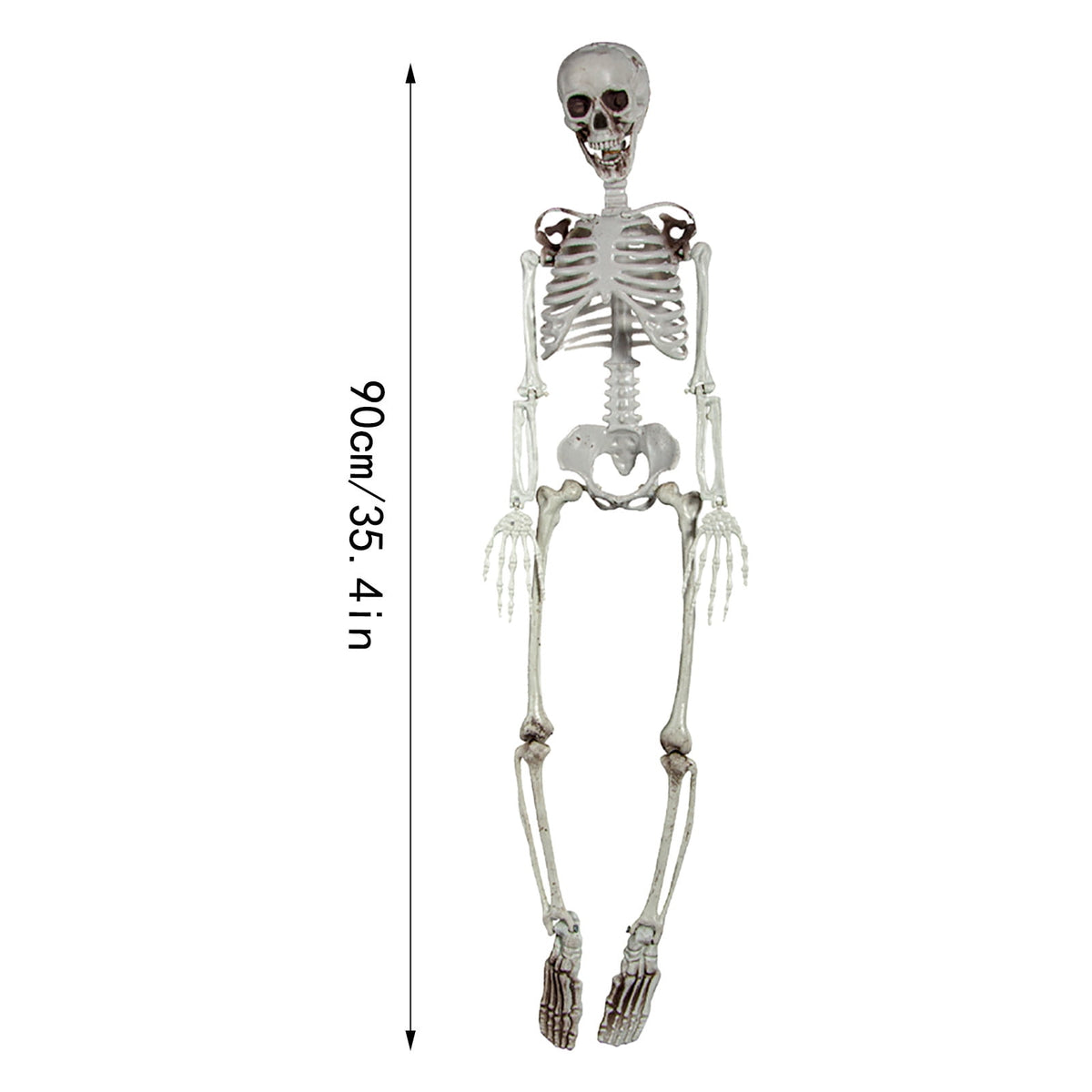 2Pcs 90Cm Human Skeleton Ornament Halloween Party Bar Props Halloween Full Body Skeleton Props Realistic Human Bones With Movable Joints For Halloween Part Event Party