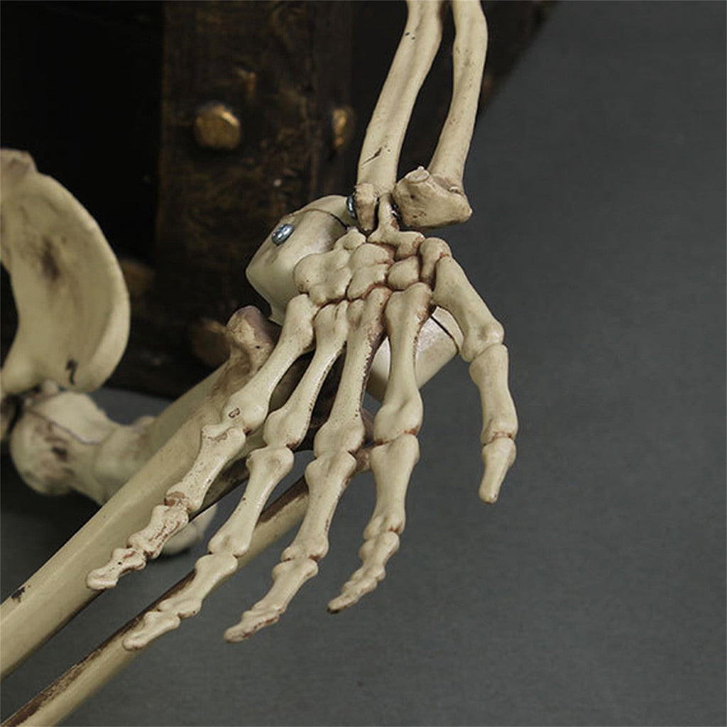 MInHoues Halloween Human Skeleton Decoration, Poseable Full Body Skeleton Prop for Haunted House, Realistic Bone Decor for Party Yard Scene, Durable Plastic Life-Size Spooky Figurine