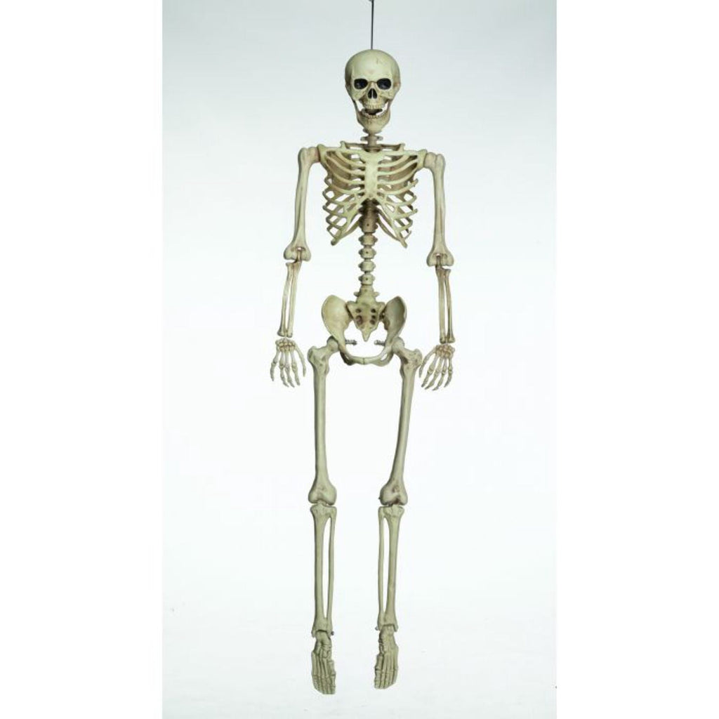 Morris Costumes FW91474 5 ft. Realistic Posable Articulated Skeleton Halloween Decoration