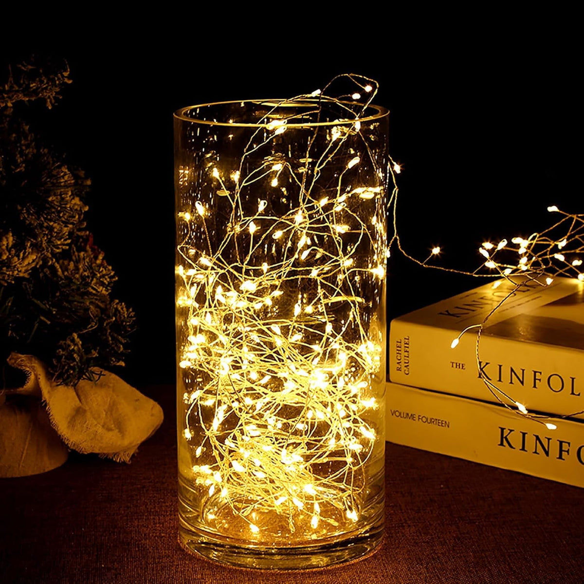 Plug-in Christmas Lights with Remote,30M 1000LED Waterproof Starry Cluster Fairy Lights, Copper Wire String Light for Indoor and Outdoor Use, Christmas Tree
