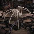 Seasons Halloween Skeleton Spider Decorative Prop - White