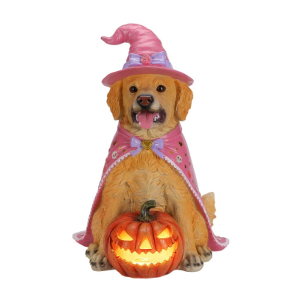 SpookHaven Halloween Jack‑O‑Lantern Pumpkin Mist Sprayer Figurine, LED Light‑Up Fogger with Witch Hat & Skull Decoration, Spooky Ornament for Tabletop Entryway Halloween Party Home Decor