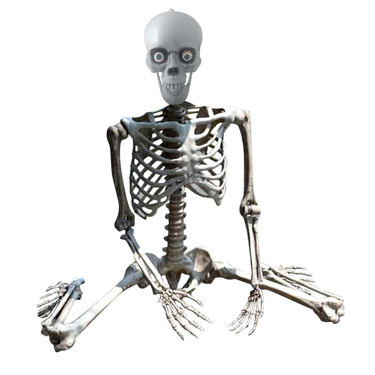 FAMTKT 63inch Halloween Skeleton Halloween Decorations, Halloween Skeleton Prop Human Full Size Skull Hand Life Body Anatomy Model Decor Skull Party Decorations