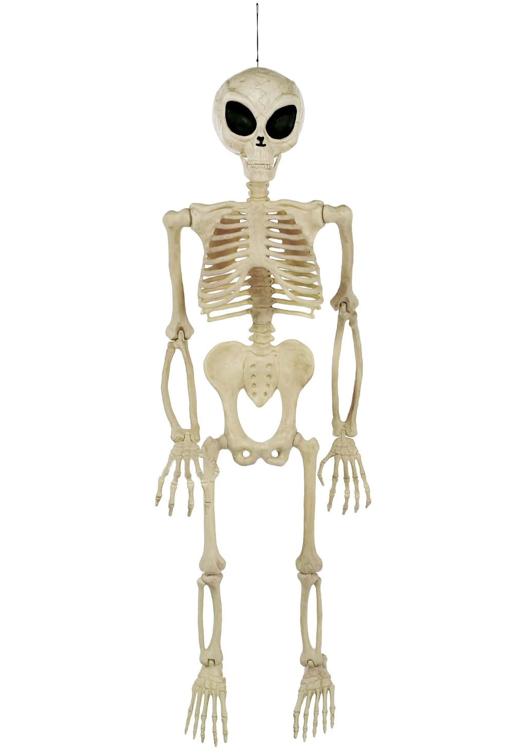 52" Alien Skeleton Decoration