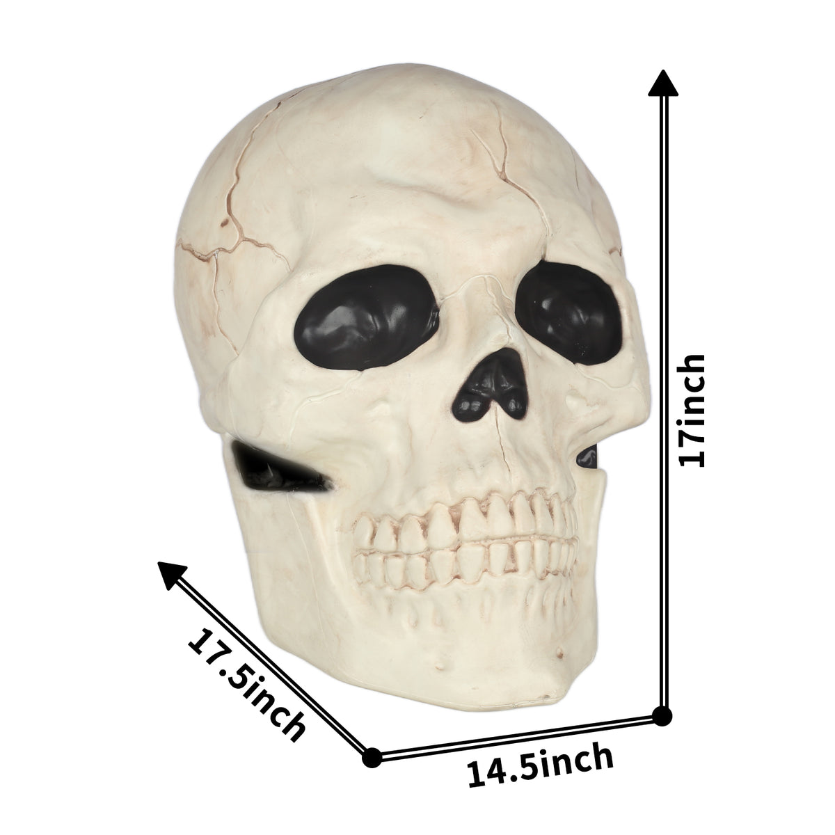 Seasons 17" Giant Skull Halloween Decorative for Crazy Bonez Skeleton Line, Large