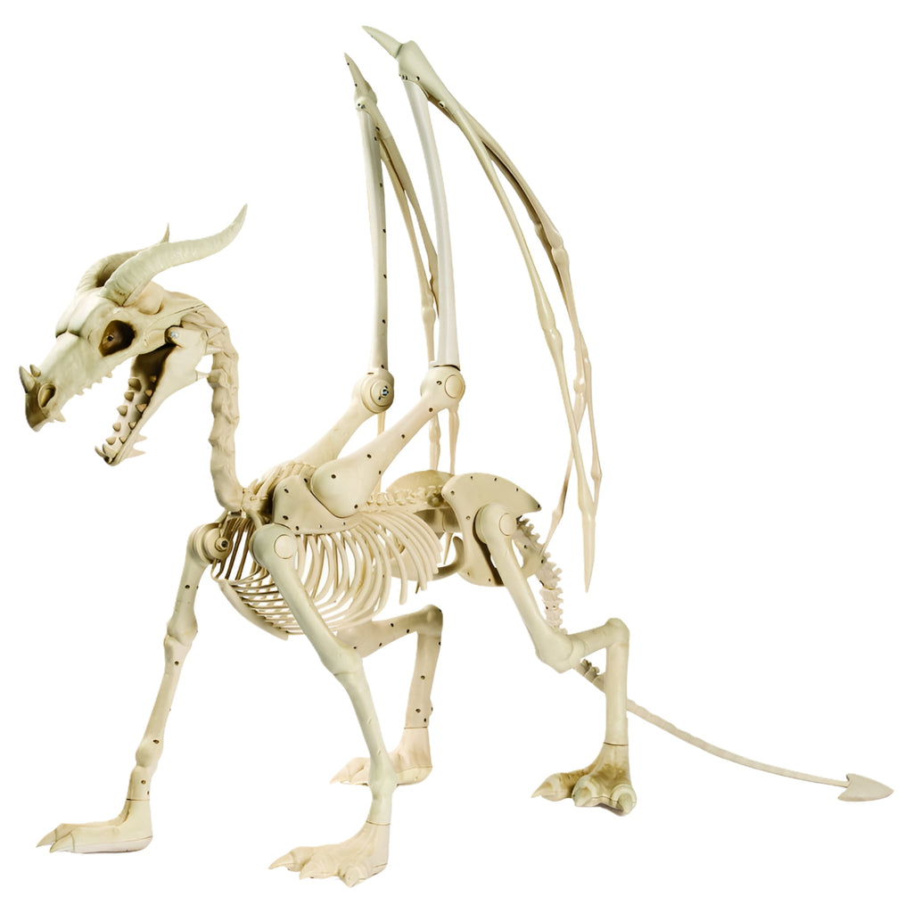 Halloween Dragon Skeleton - Home Decor - 1 Piece