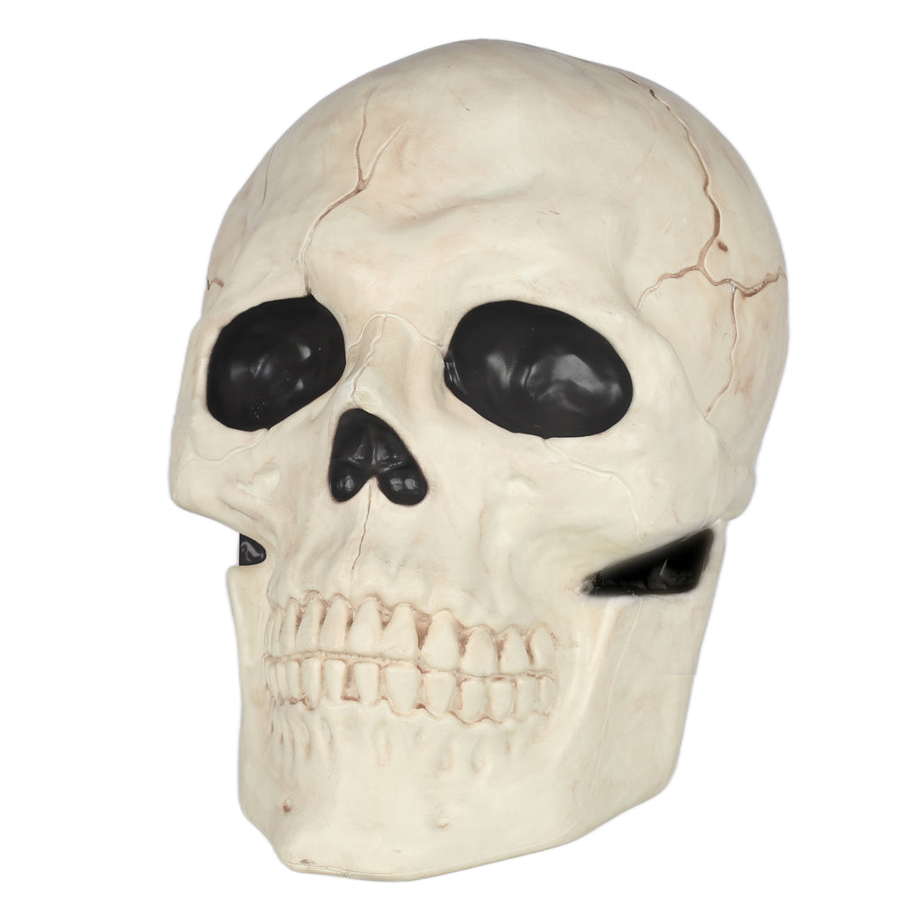 Seasons 17" Giant Skull Halloween Decorative for Crazy Bonez Skeleton Line, Large