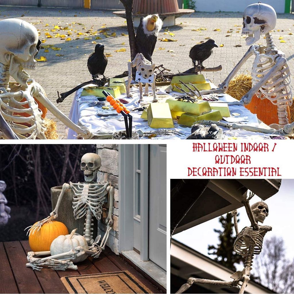 OZMI 5' 4" Tall Halloween Skeleton Decoration for Haunted House, 63 Inch Plastic Life Size Skull Skeleton for Halloween Party Haunted House Bar Yard Graveyard Decorations Party Supplies