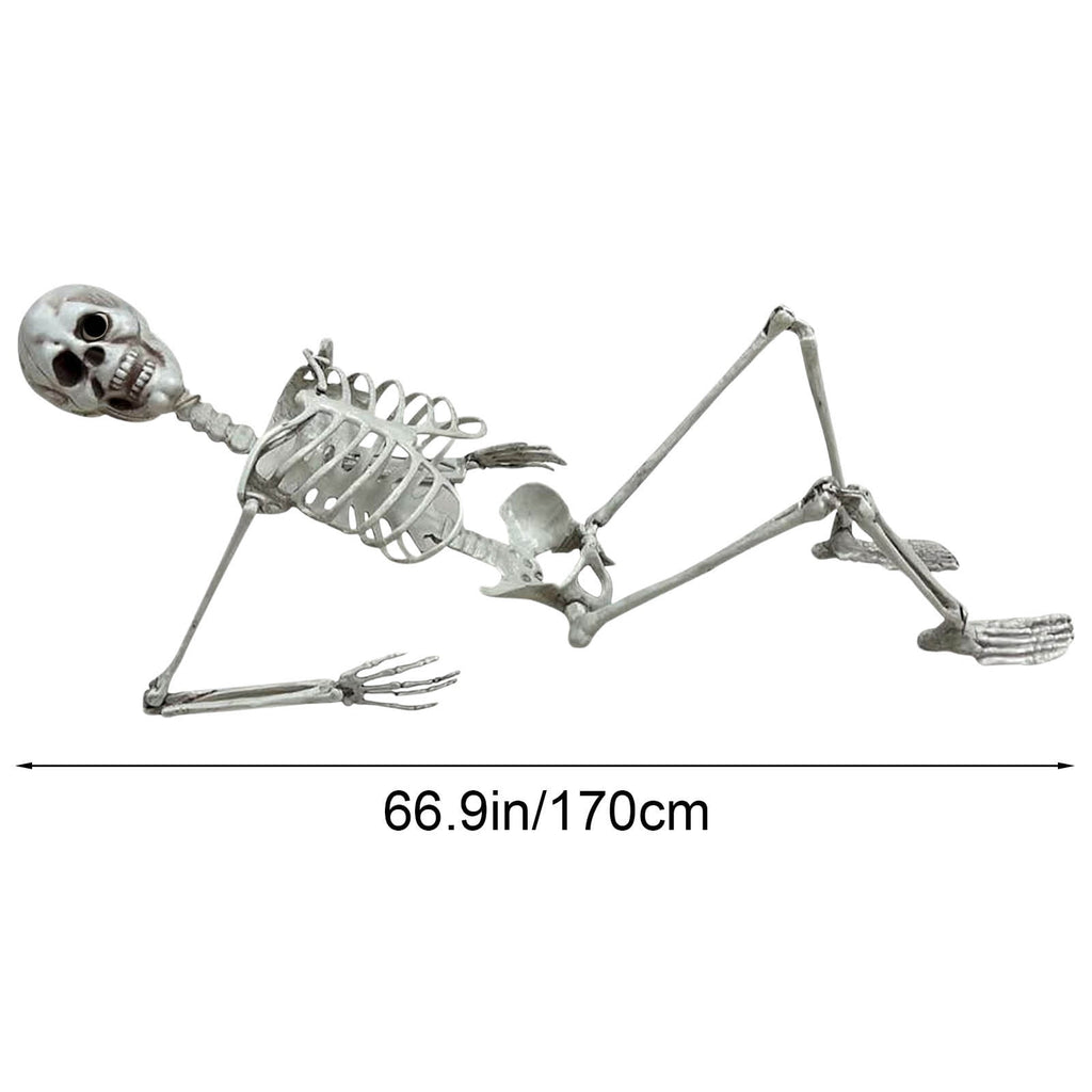 XGFHYJEH Halloween Decor, Halloween Decorations, Halloween Decorations Indoor, Halloween Indoor Decor, 170cm Halloween Skeleton Prop Human Full Size Skull Life Body Model
