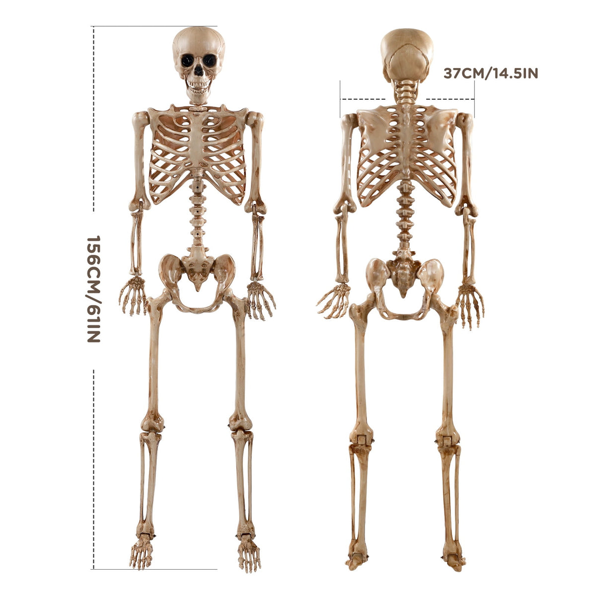 Ayieyill 5.4ft Halloween Skeleton Decorations, Weathered Posable Skeleton Decor for Halloween Decorations Outdoor Indoor