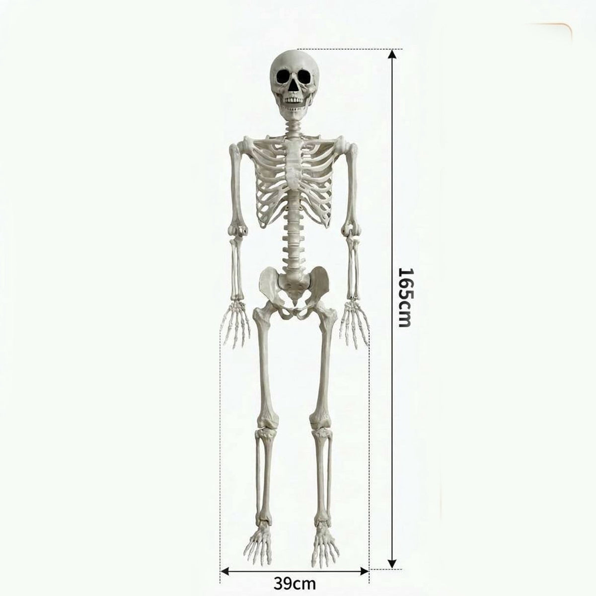 Halloween Simulation Skeleton Decoration Realistic Skeleton Prop for Halloween Party House Yard Indoor Outdoor Horror Scene Display