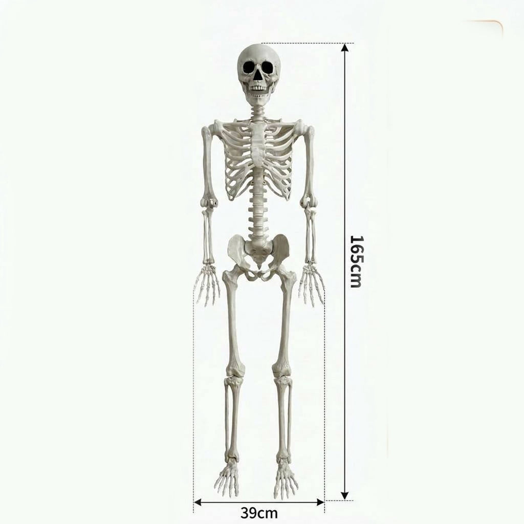 ShengapQ Realistic Simulation Halloween Skeleton Prop, Plastic Full Body Posable Skeleton Decoration, Spooky Indoor Outdoor Yard Party Ornament, Perfect for House, Graveyard and Haunted Scene