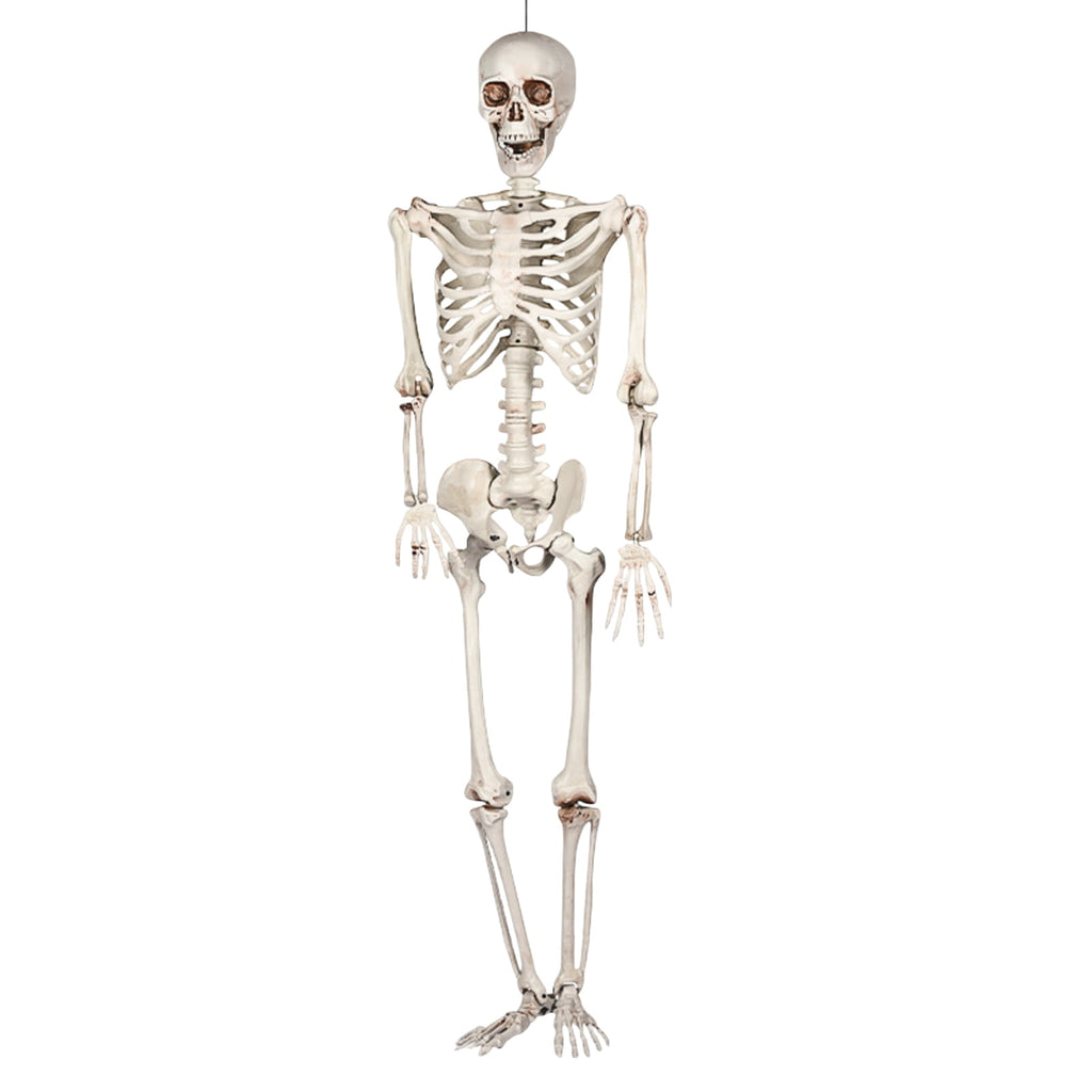 GoLucid Halloween Full Body Skeleton Decoration 78.74", Life Size Posable Skeleton Prop 200cm, Indoor Outdoor Haunted Yard Decor
