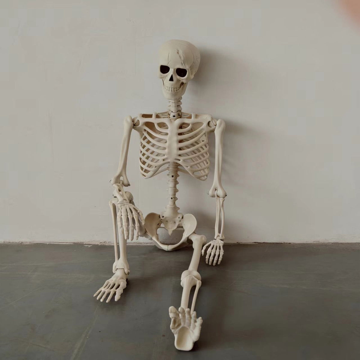 Halloween Skeleton Decorations, 53" Realistic Full Body Movable Posable Joints Skeleton, Creepy Halloween Skeleton for Graveyard Decorations, Haunted House Props Indoor/Outdoor Decor