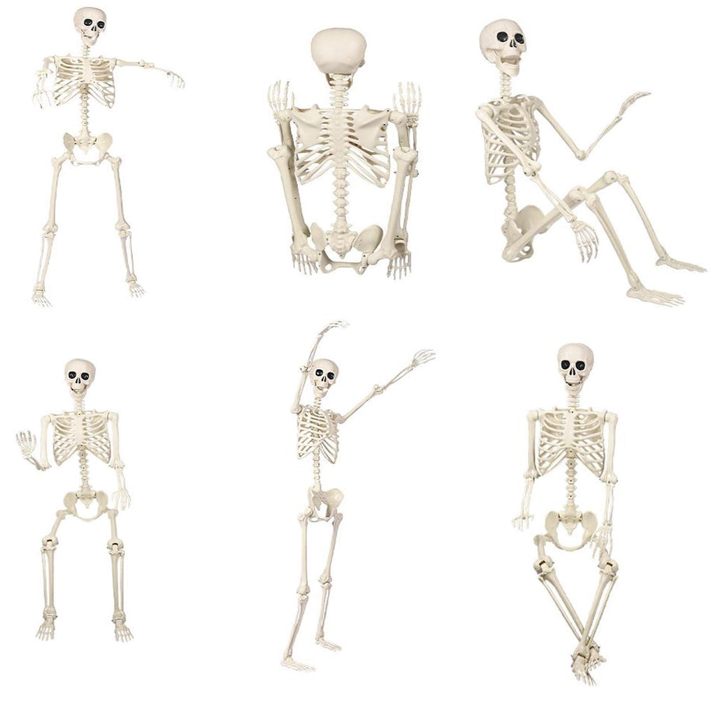 Posable Plastic Human Skeleton Prop 5.4FT Full Body Halloween Skeleton Decor with Movable Joints for Haunted House Yard Party Decoration