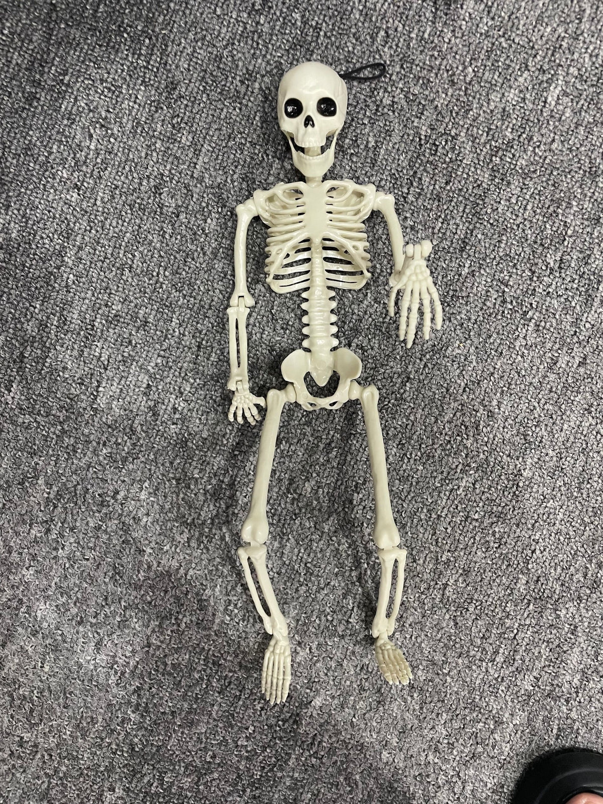 OZMI 5' 4" Tall Halloween Skeleton Decoration for Haunted House, 63 Inch Plastic Life Size Skull Skeleton for Halloween Party Haunted House Bar Yard Graveyard Decorations Party Supplies