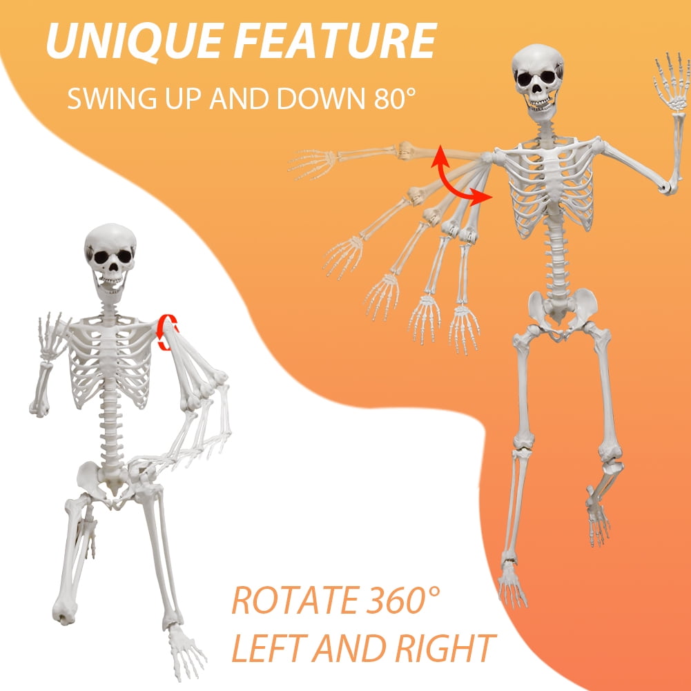5.9FT Poseable Skeleton, Full Size Human Skeleton with Movable Joints for Halloween