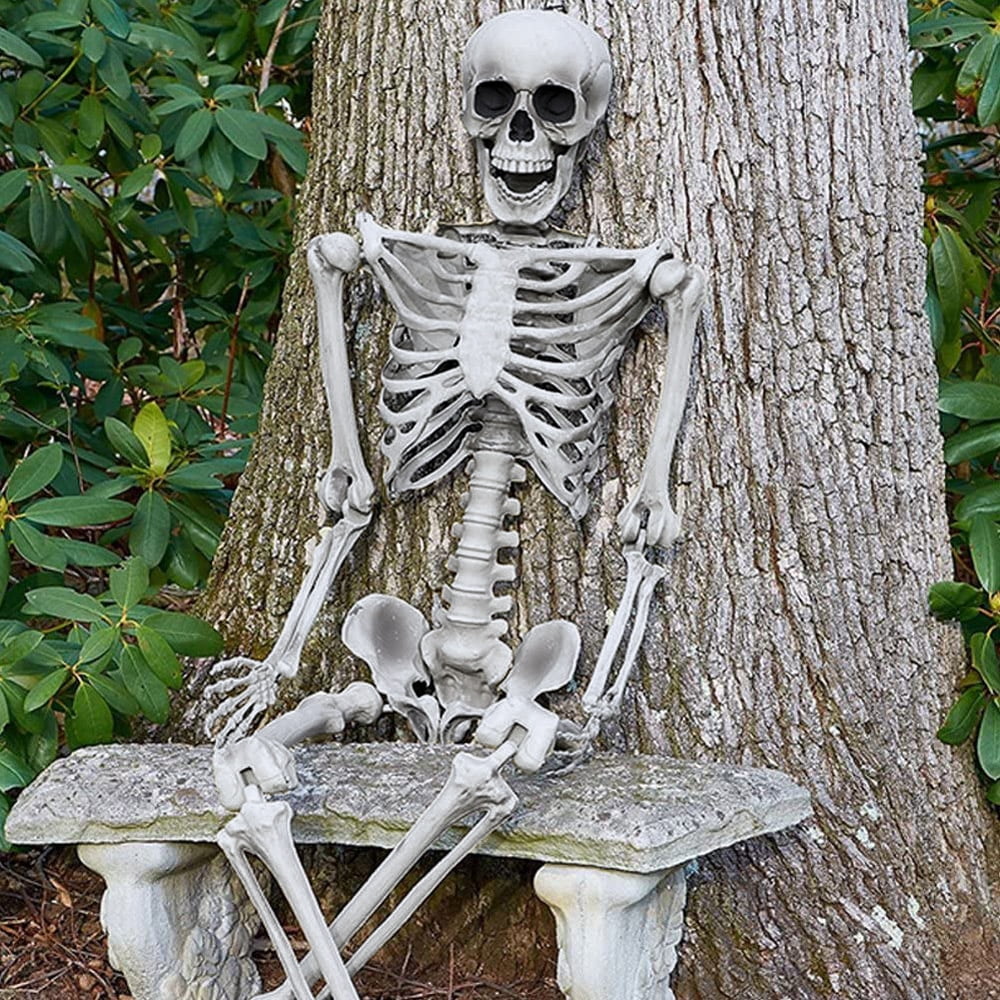 OZMI 5' 4" Tall Halloween Skeleton Decoration for Haunted House, 63 Inch Plastic Life Size Skull Skeleton for Halloween Party Haunted House Bar Yard Graveyard Decorations Party Supplies