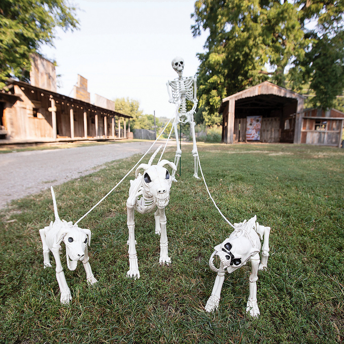 Fun Express Skeleton Dog Walker Halloween Decorating Kit - 4 Pc