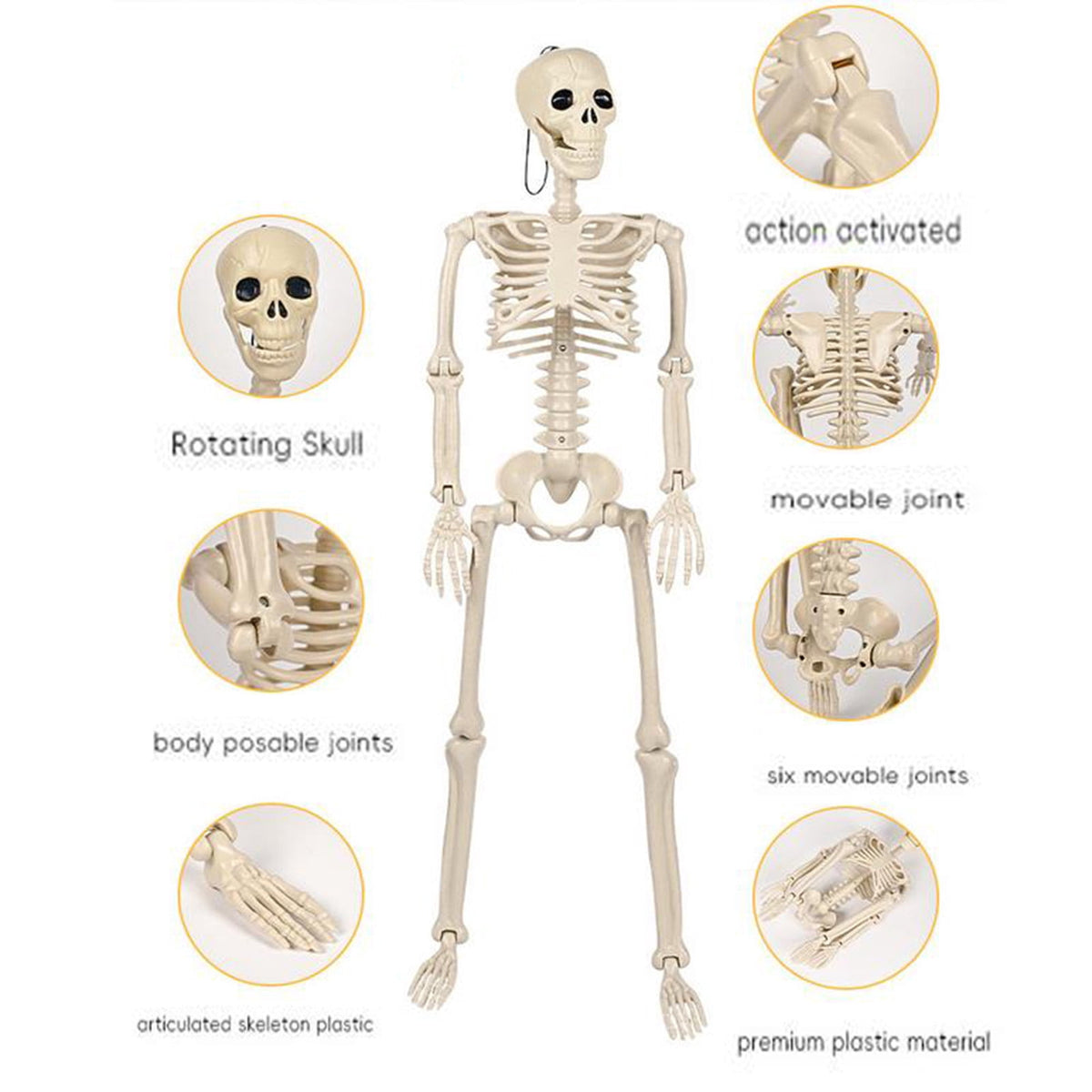 Posable Plastic Human Skeleton Prop 5.4FT Full Body Halloween Skeleton Decor with Movable Joints for Haunted House Yard Party Decoration