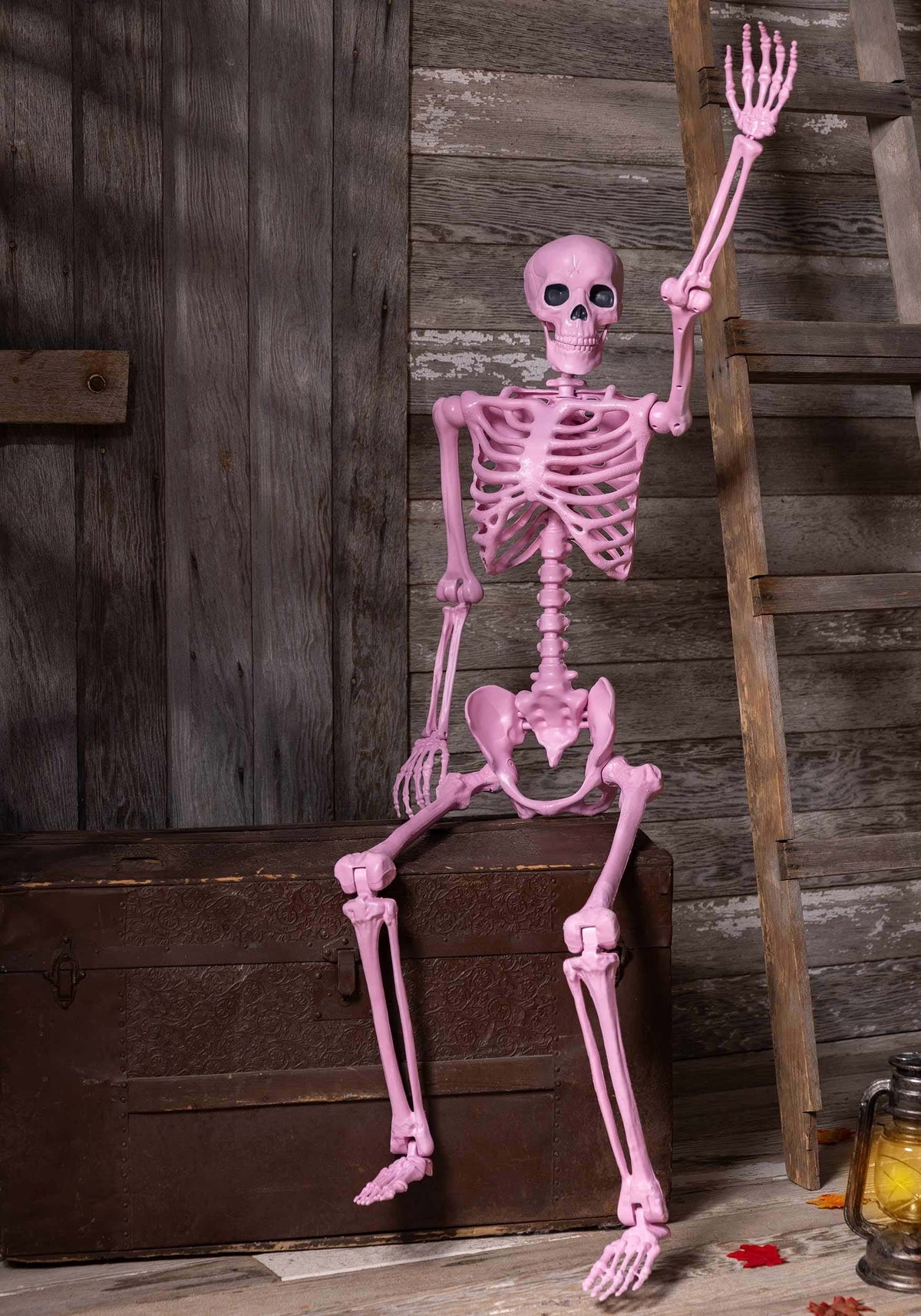 Poseable Crazy Bones Skeleton in Pink Decoration
