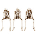 8 in. Spooky Halloween Skeletons Creepy Decor Set of Three
