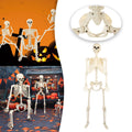 Halloween Spooky Skeleton 5.4ft Realistic Skeleton with Posable and Movable Joints Halloween Mood Enhancer, Decor for Halloween Outdoor/Indoor Decoration