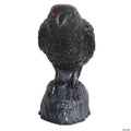 Head Turning Raven with Sound Halloween Decoration