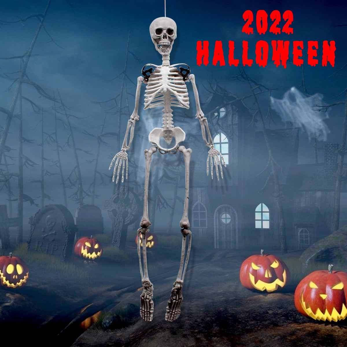 OZMI 5' 4" Tall Halloween Skeleton Decoration for Haunted House, 63 Inch Plastic Life Size Skull Skeleton for Halloween Party Haunted House Bar Yard Graveyard Decorations Party Supplies