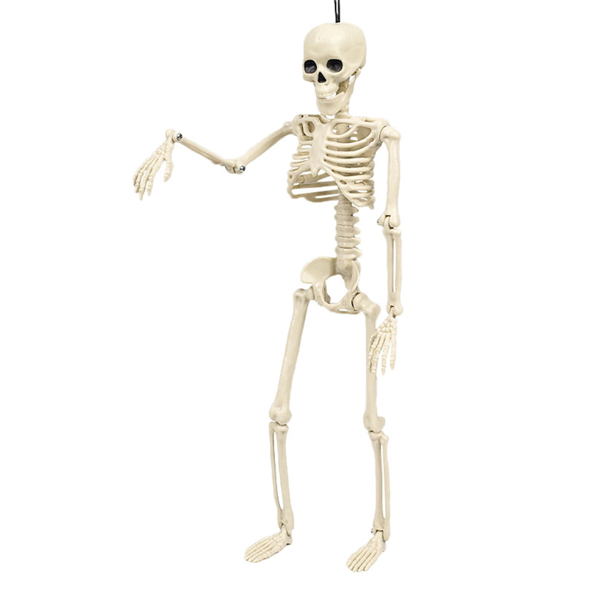 Posable Plastic Human Skeleton Prop 5.4FT Full Body Halloween Skeleton Decor with Movable Joints for Haunted House Yard Party Decoration
