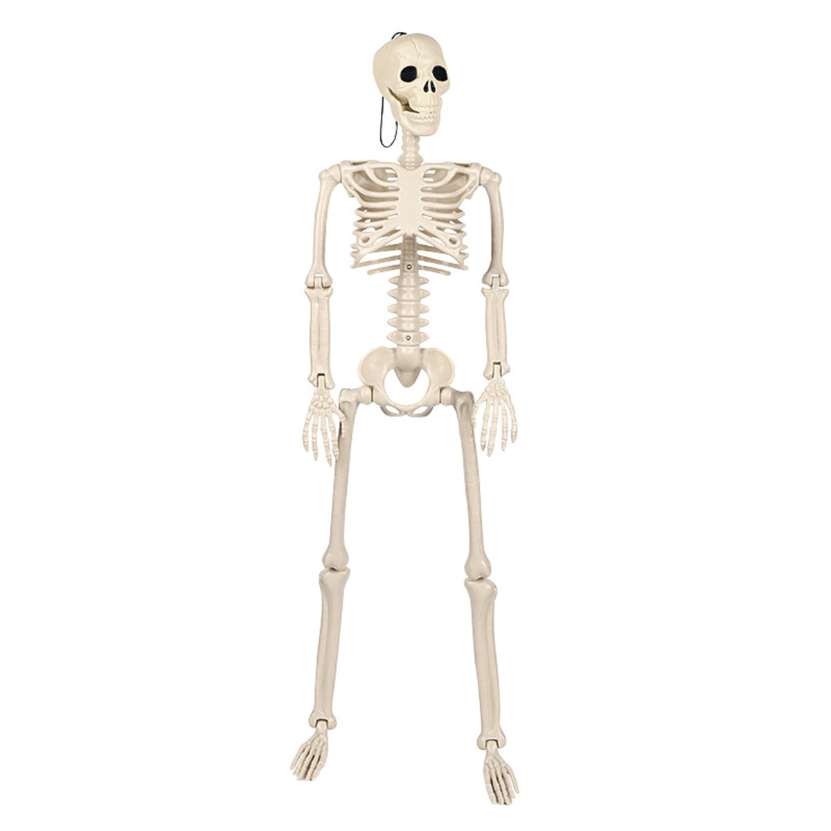 Posable Plastic Human Skeleton Prop 5.4FT Full Body Halloween Skeleton Decor with Movable Joints for Haunted House Yard Party Decoration