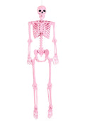 Poseable Crazy Bones Skeleton in Pink Decoration