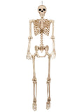Seasons 5 FT Pose-N-Stay Life Size Skeleton with Realistic Posable and Movable Joints Halloween Decoration for Crazy Bonez Skeleton Line