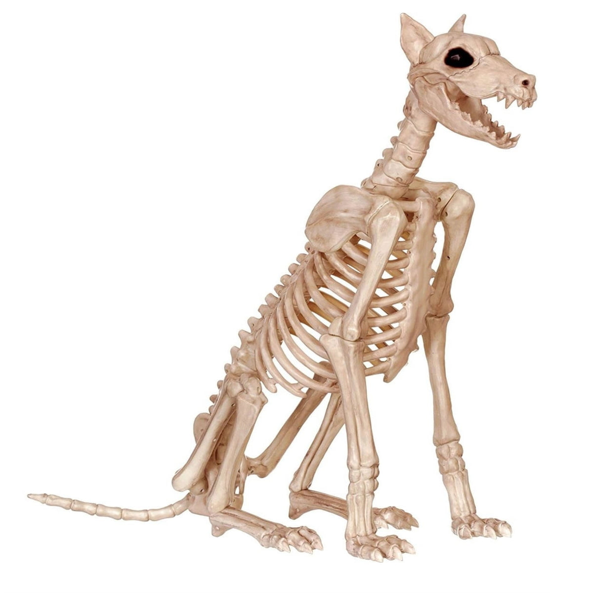 Spike the Skeleton Dog Halloween Decoration