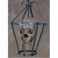 Skeletons and More CAGE-300 Skull cage with aged skull