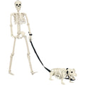 Slccxzc Halloween Skeleton Decoration Full Body Movable Joints with Dog Skeleton