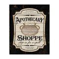 Stupell Industries Apothecary Shoppe Spooky Halloween Sign Witch Potion Cauldron, 30 x 40, Design by Jennifer Pugh
