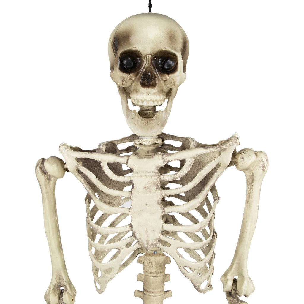 Northlight 5' Life Size Skeleton Indoor/Outdoor Halloween Decoration - White/Gray