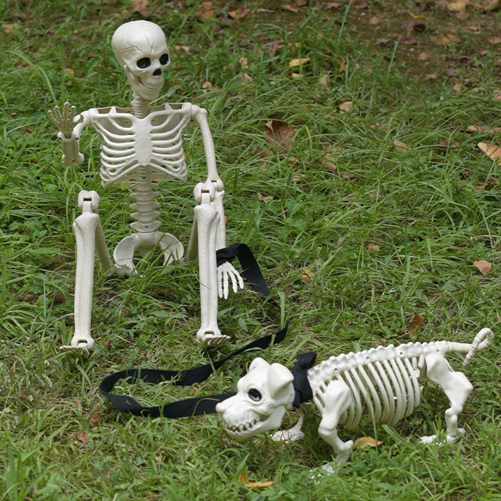 Slccxzc Halloween Skeleton Decoration Full Body Movable Joints with Dog Skeleton