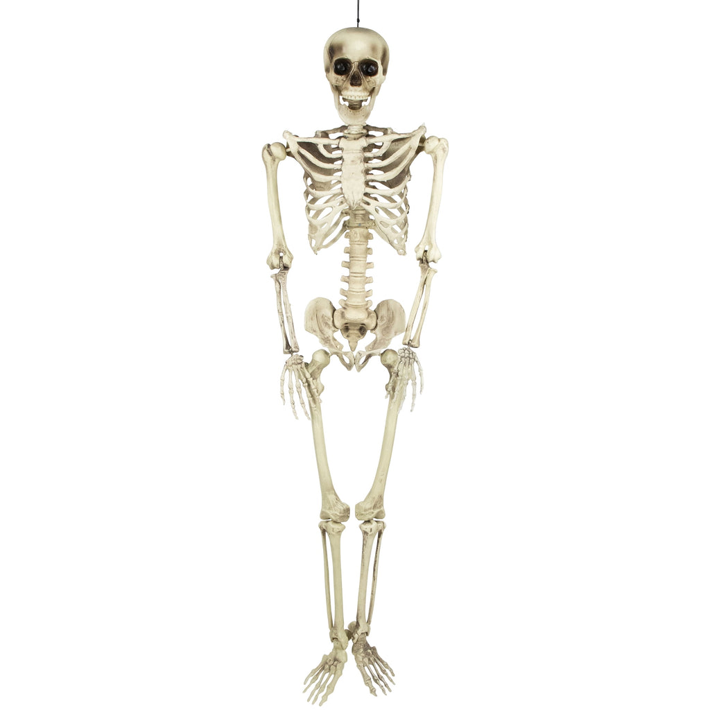 Northlight 5' Life Size Skeleton Indoor/Outdoor Halloween Decoration - White/Gray