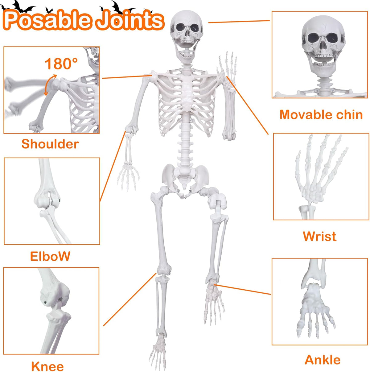 5.4ft/165cm Halloween Skeleton with Realistic Crows Full Body Plastic Human Bones with Movable Joints for Indoor Outdoor Halloween Decor