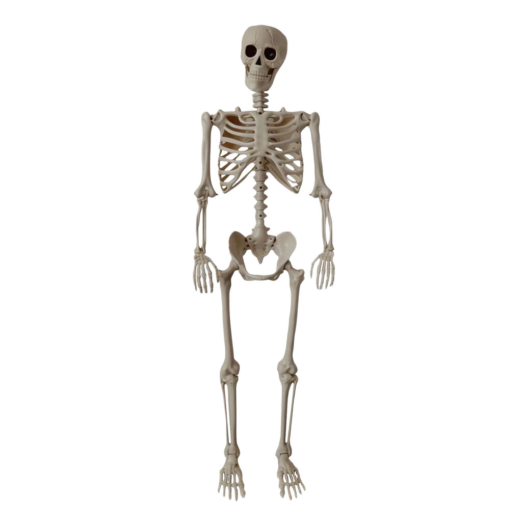 Halloween Skeleton Decorations, 53" Realistic Full Body Movable Posable Joints Skeleton, Creepy Halloween Skeleton for Graveyard Decorations, Haunted House Props Indoor/Outdoor Decor